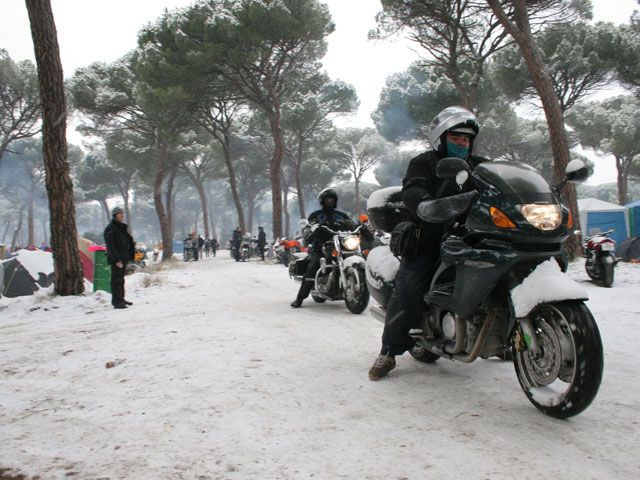 Pingüinos 2009. De noche bajo la nieve