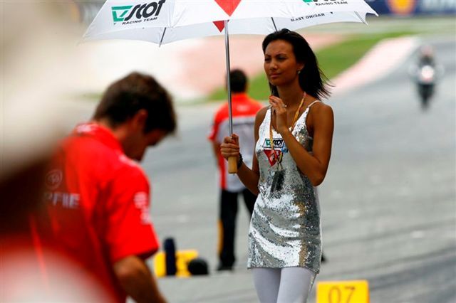 Las chicas del GP de Malasia