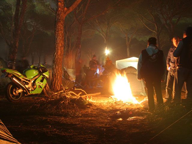 Pingüinos 2010: Ya han llegado los primeros pingüinos al nido