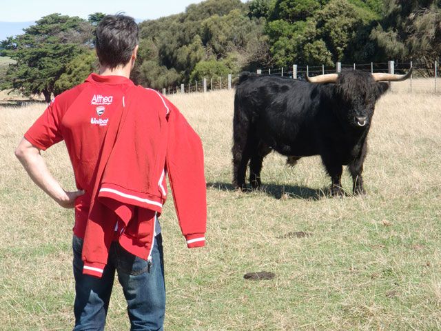 Carlos Checa coge el toro por los cuernos