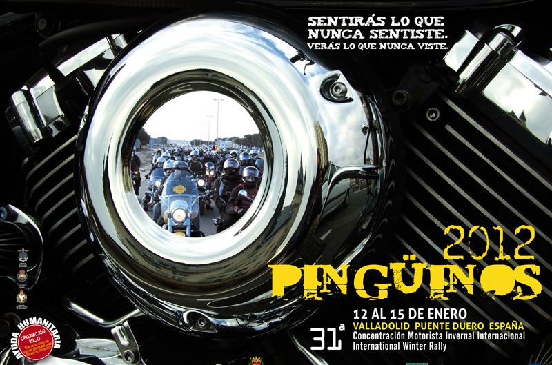Pingüinos 2012