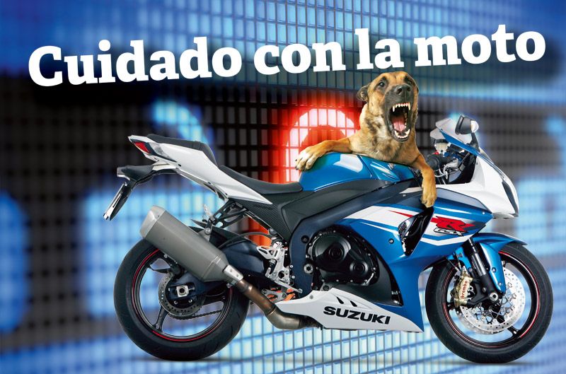 Especial antirrobos