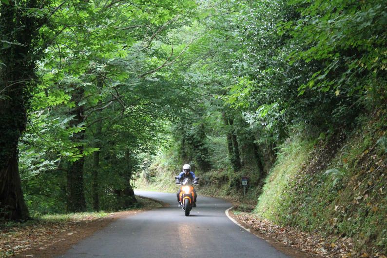 Los Ancares, el último refugio
