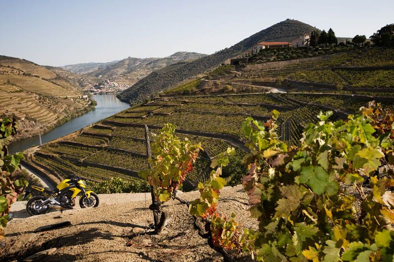 Turismo: Ribera do Douro