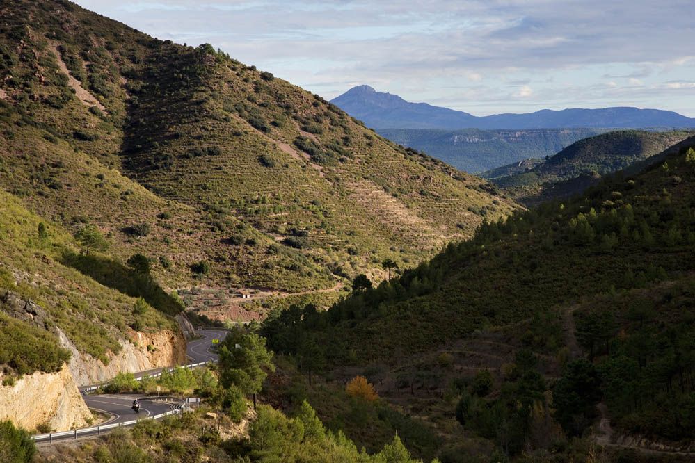 Ruta del Cid (VI)