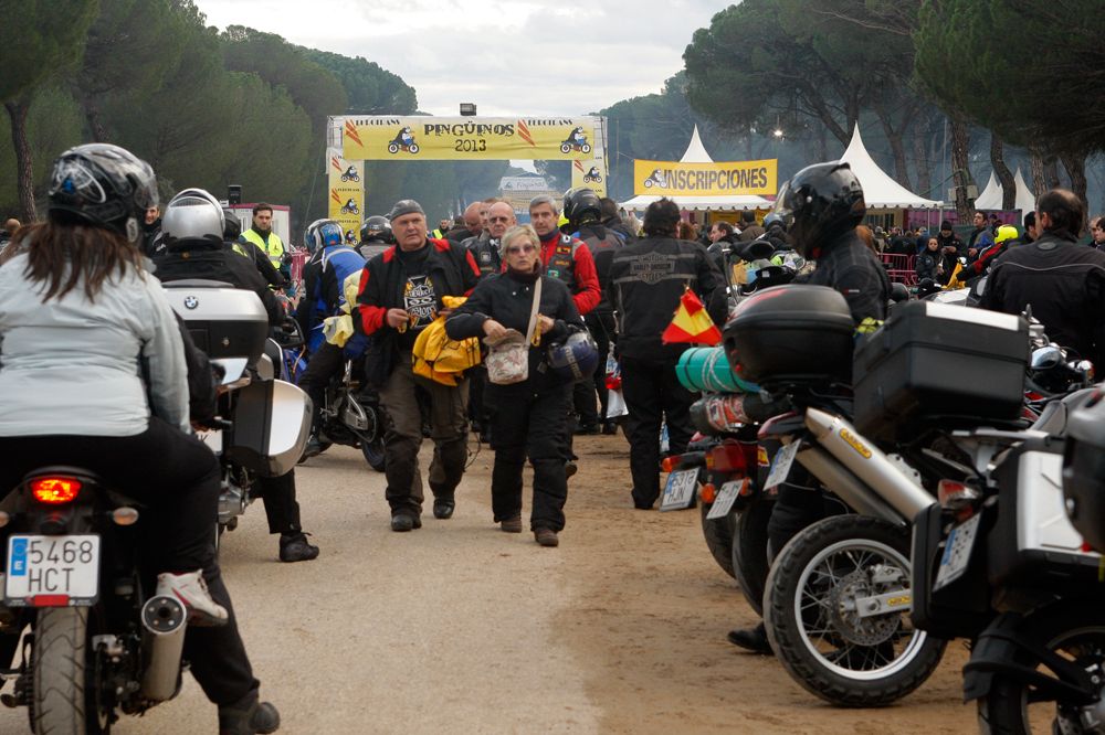 Tampoco habrá Pingüinos 2016