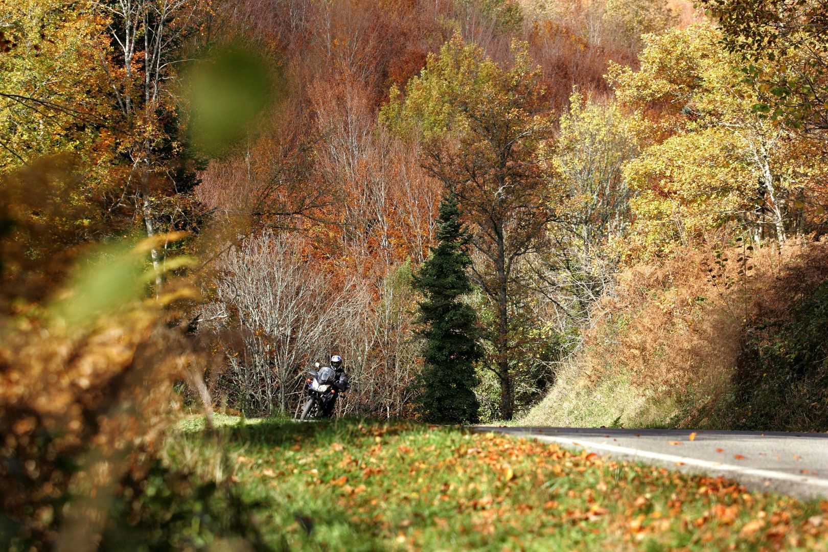 Montar en moto en otoño es idílico... casi siempre