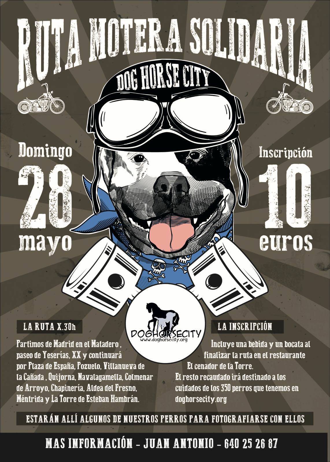 Ruta solidaria para cuidar de los 350 perros de una protectora