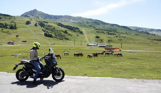 Turismo Lleida 2 (46)