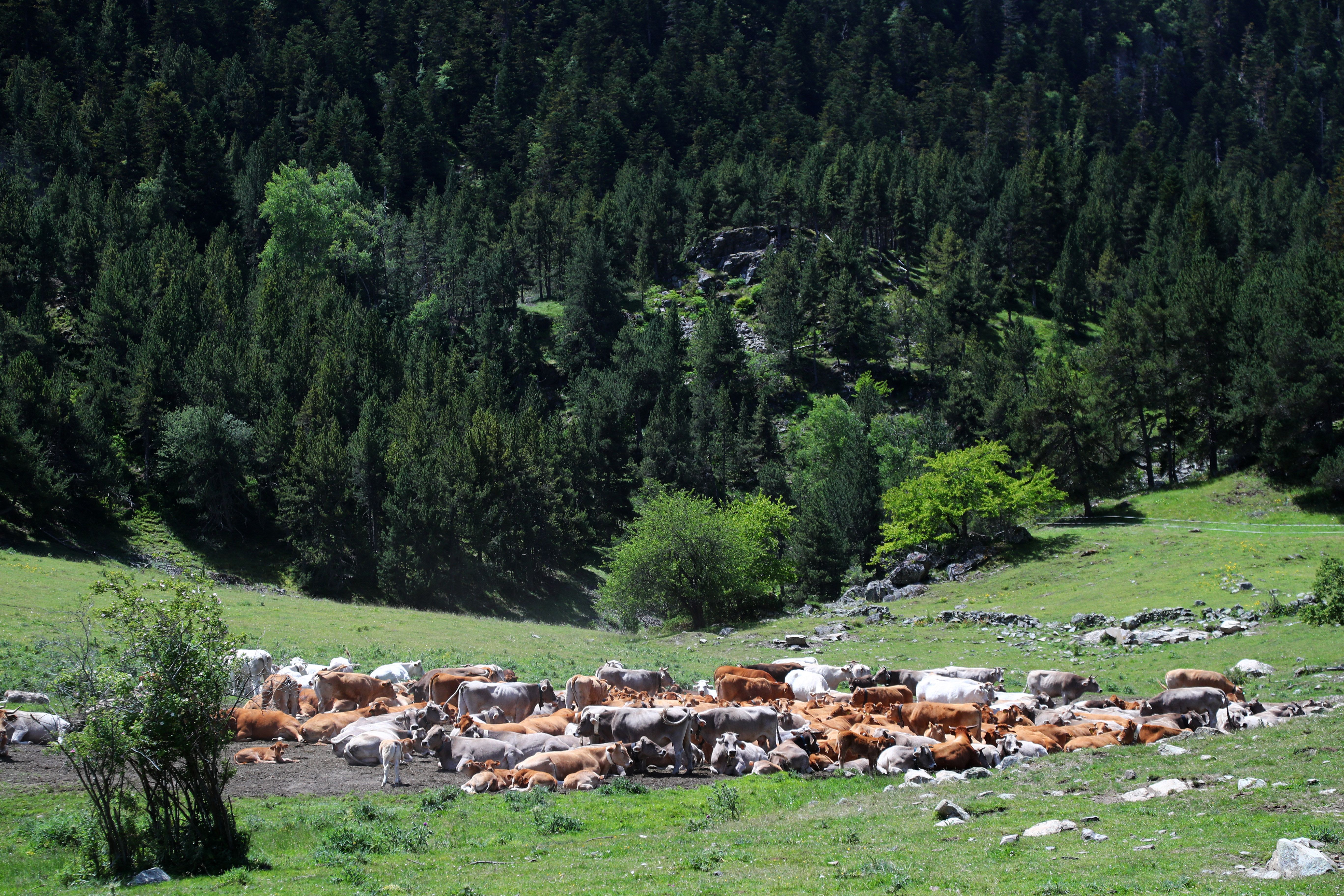Mototurisme Lleida. De la Vall D’Aran a la Cerdanya: Entre valles y puertos