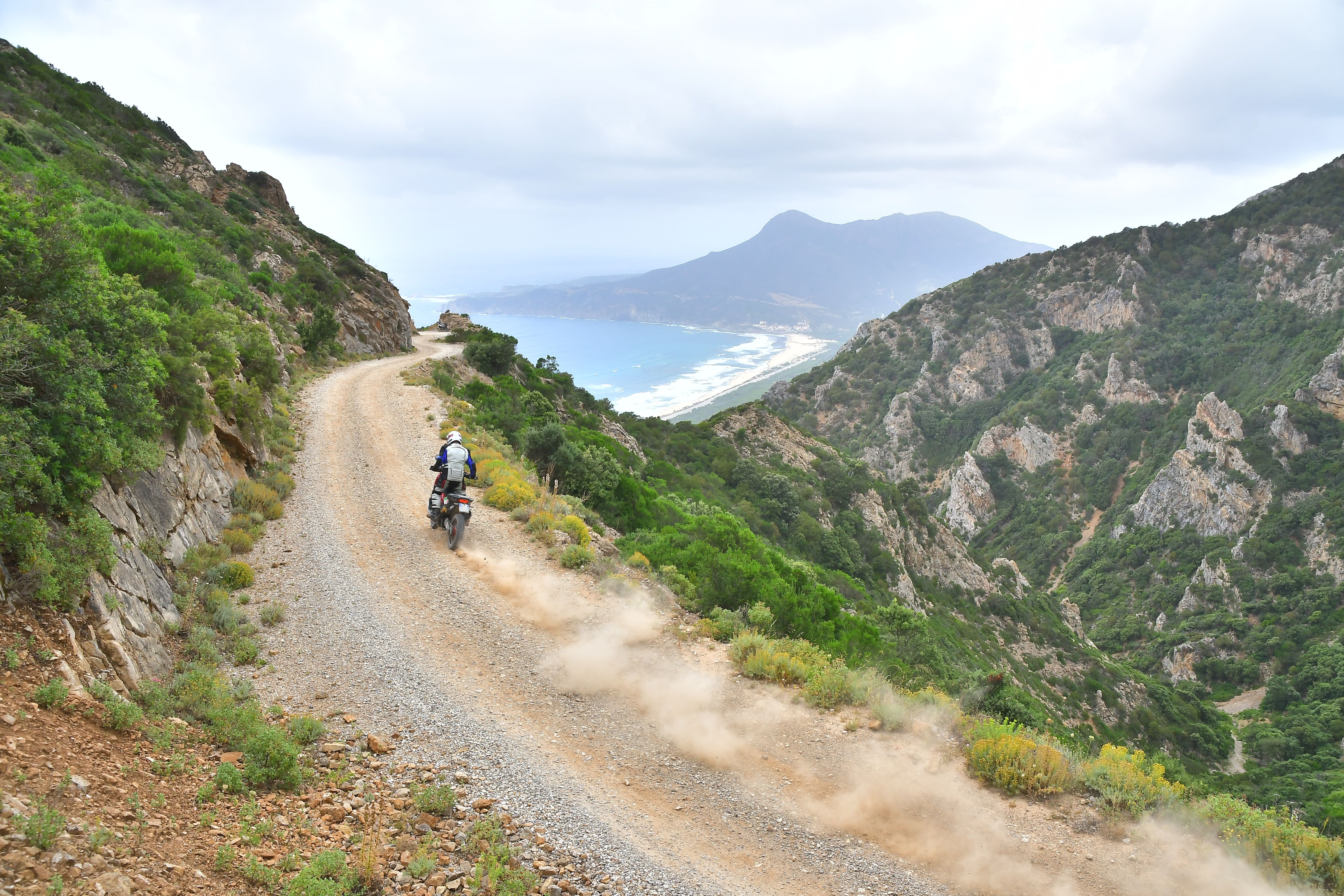 Honda X-ADV Rally en acción. 