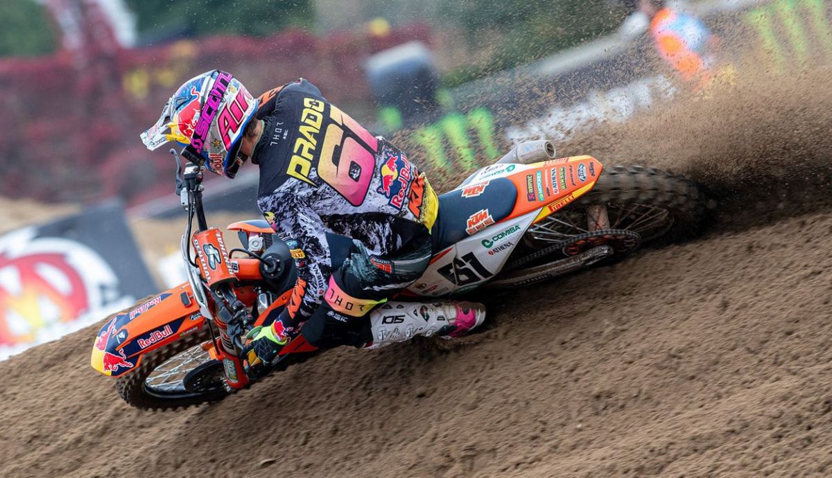 Jorge Prado Jorge Prado