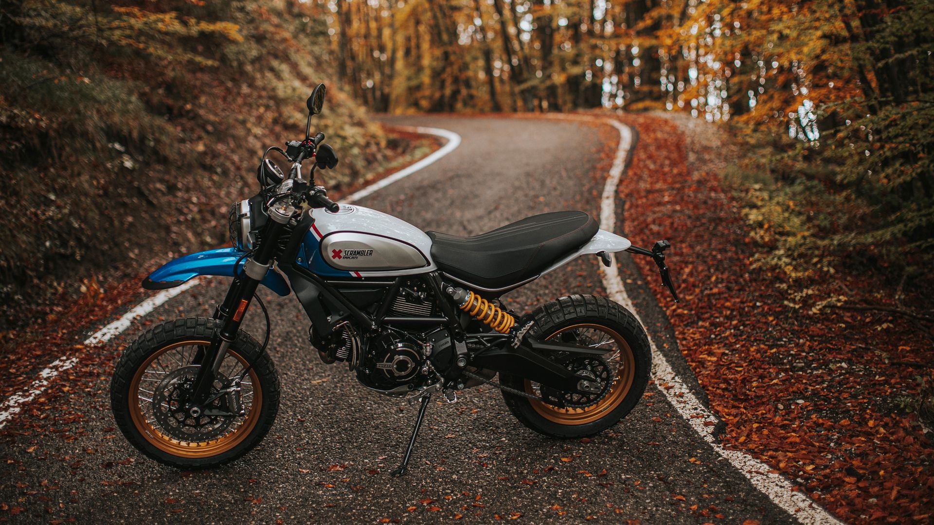 Ducati Scrambler 800 Icon 2021 09