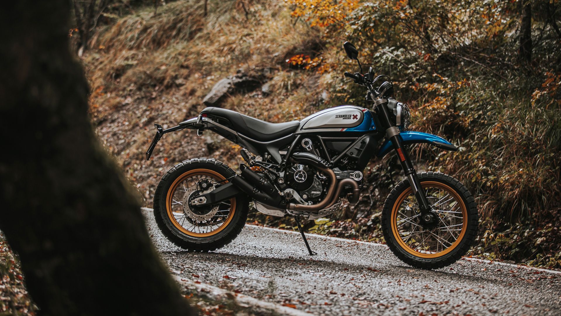 Ducati Scrambler Icon Y Dessert Sled 21 Nuevos Colores Ducati Scrambler Icon Y Dessert Sled 21 Nuevos Colores