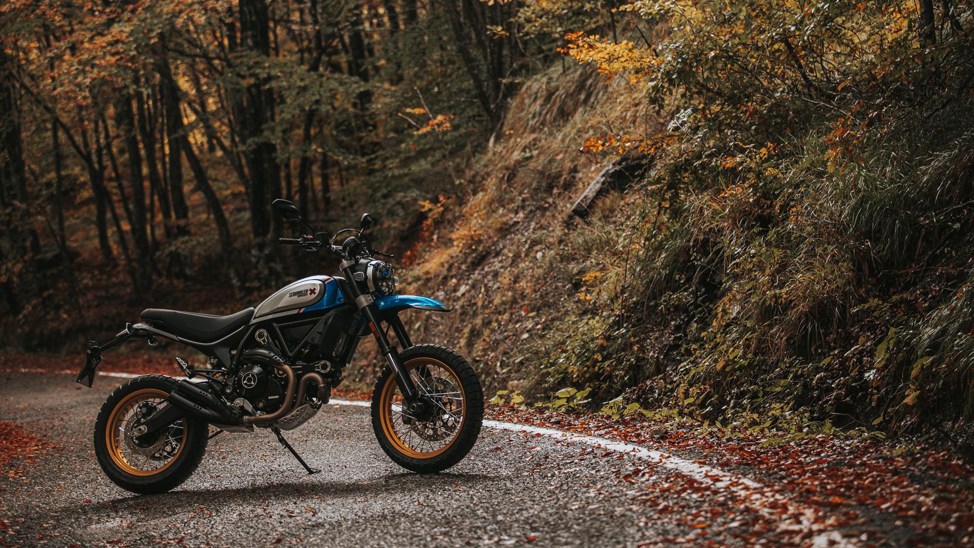 Ducati Scrambler 800 Icon 2021 10