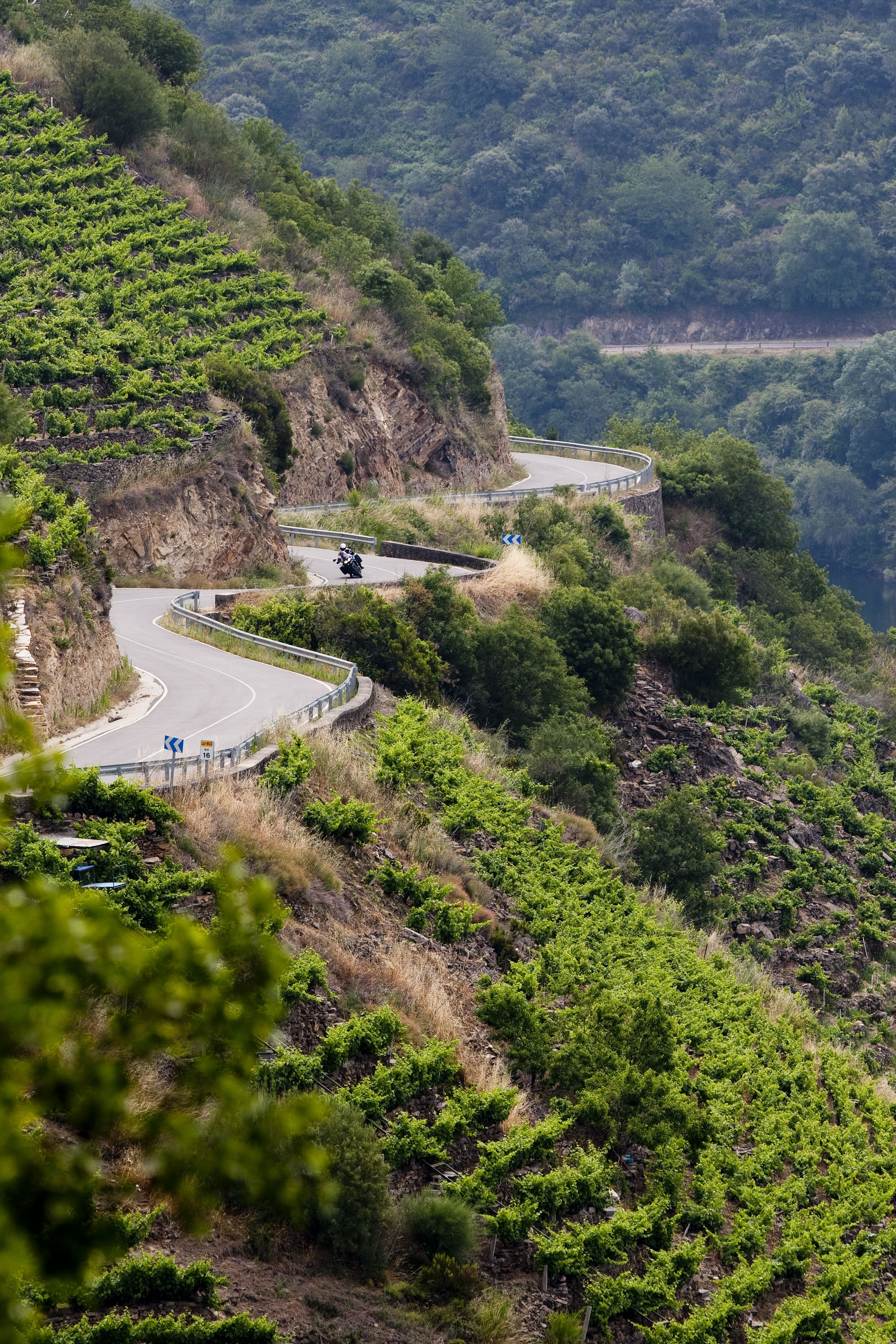 Rutas en moto por el norte. Ribera Sacra