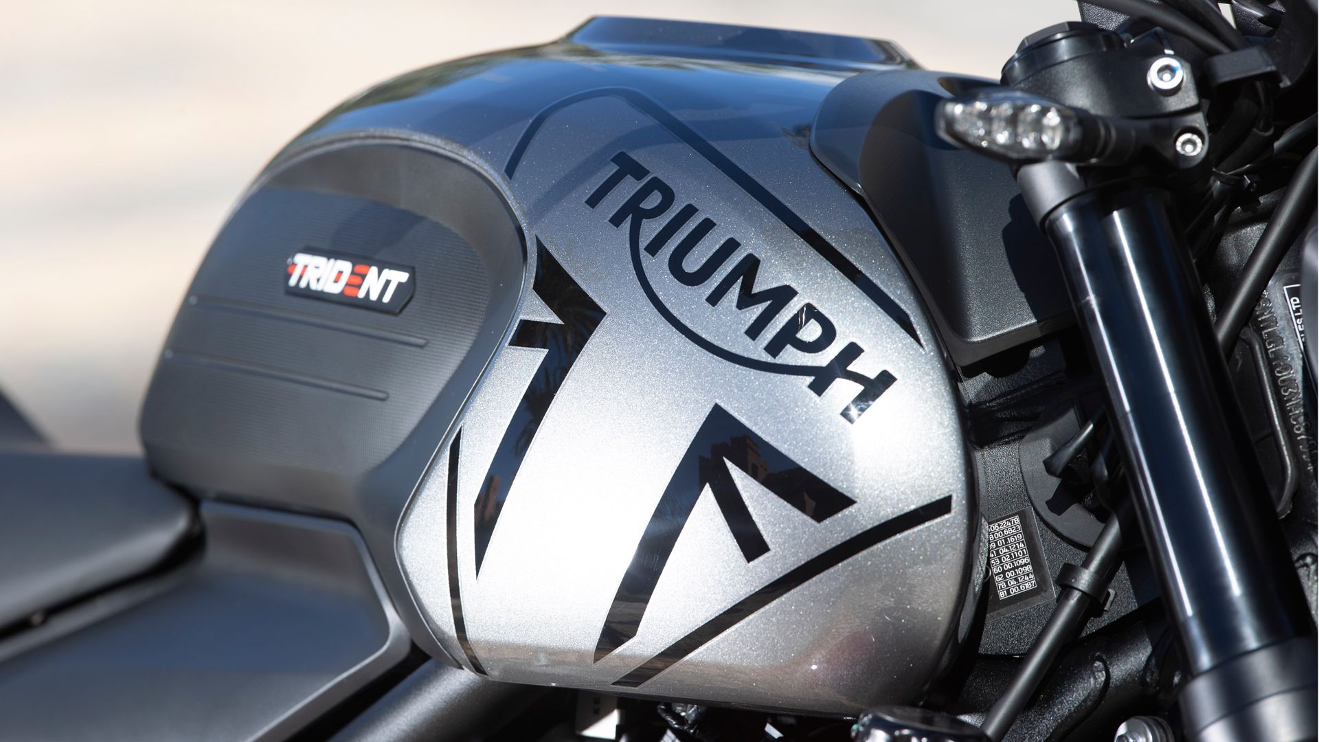 Triumph Trident 660 2021 15