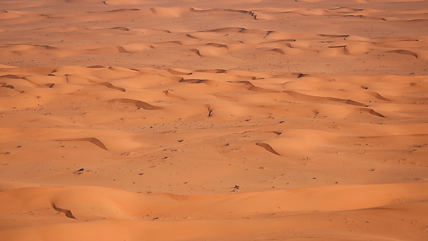 Las dunas han vuelto a ser las grandes protagonistas del Dakar