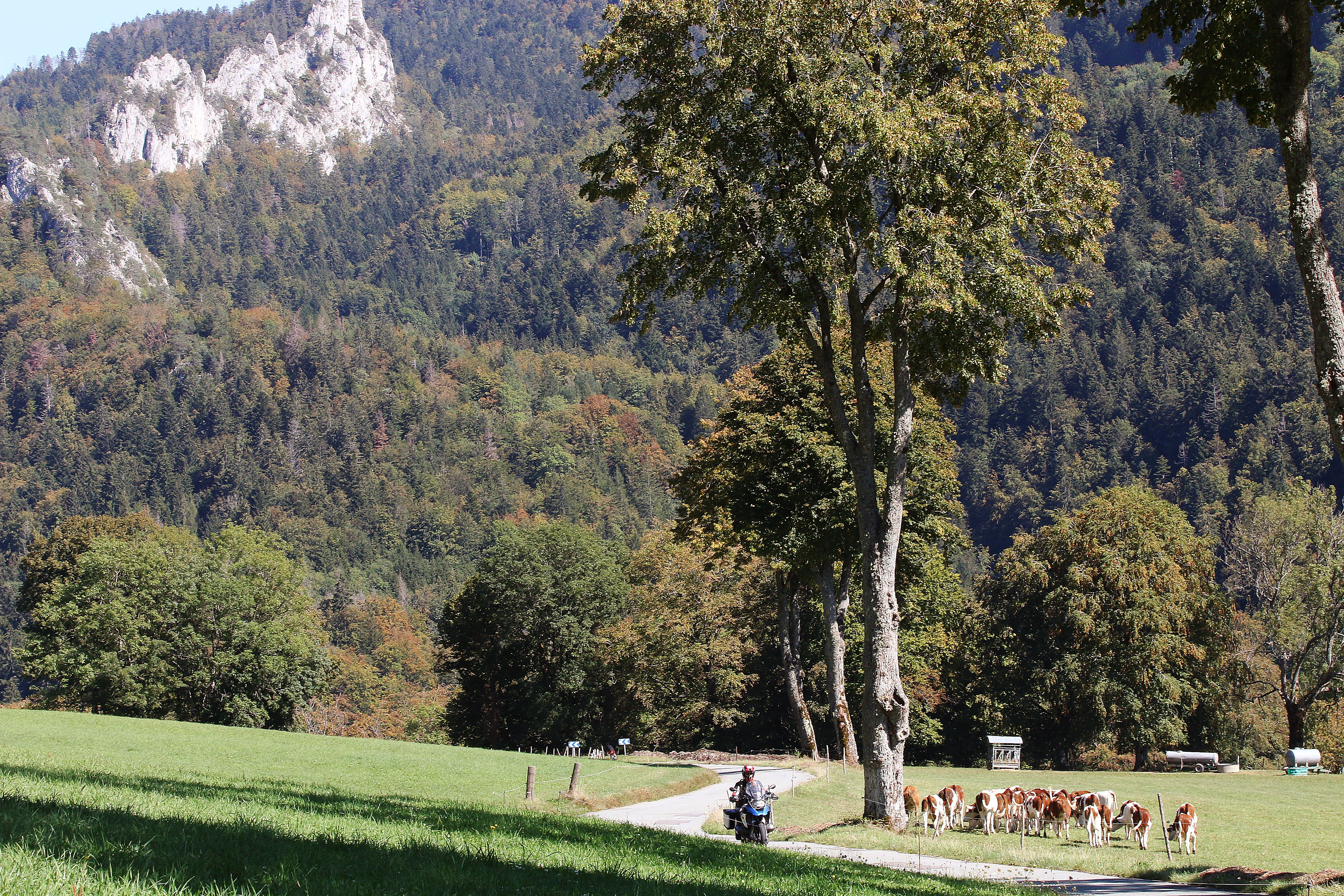 Ruta Borgoña Le Doubs (12)