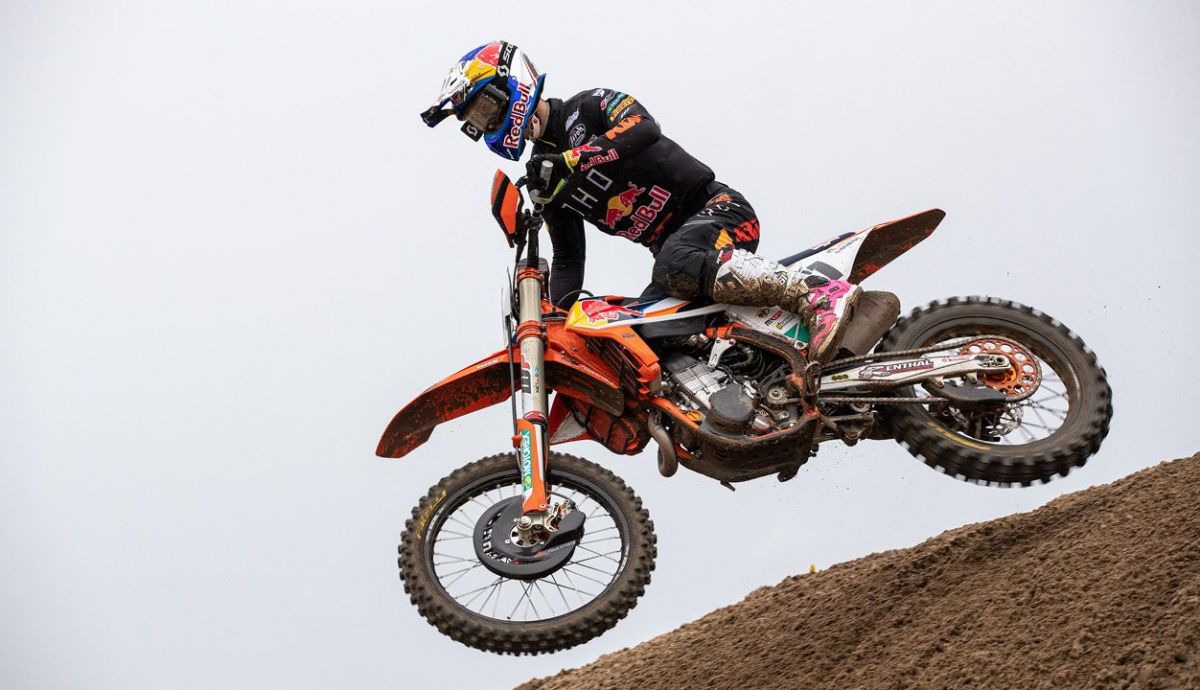 Jorge Prado