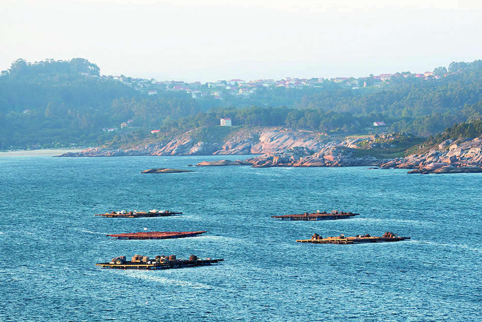 En moto por las Rías Baixas.
