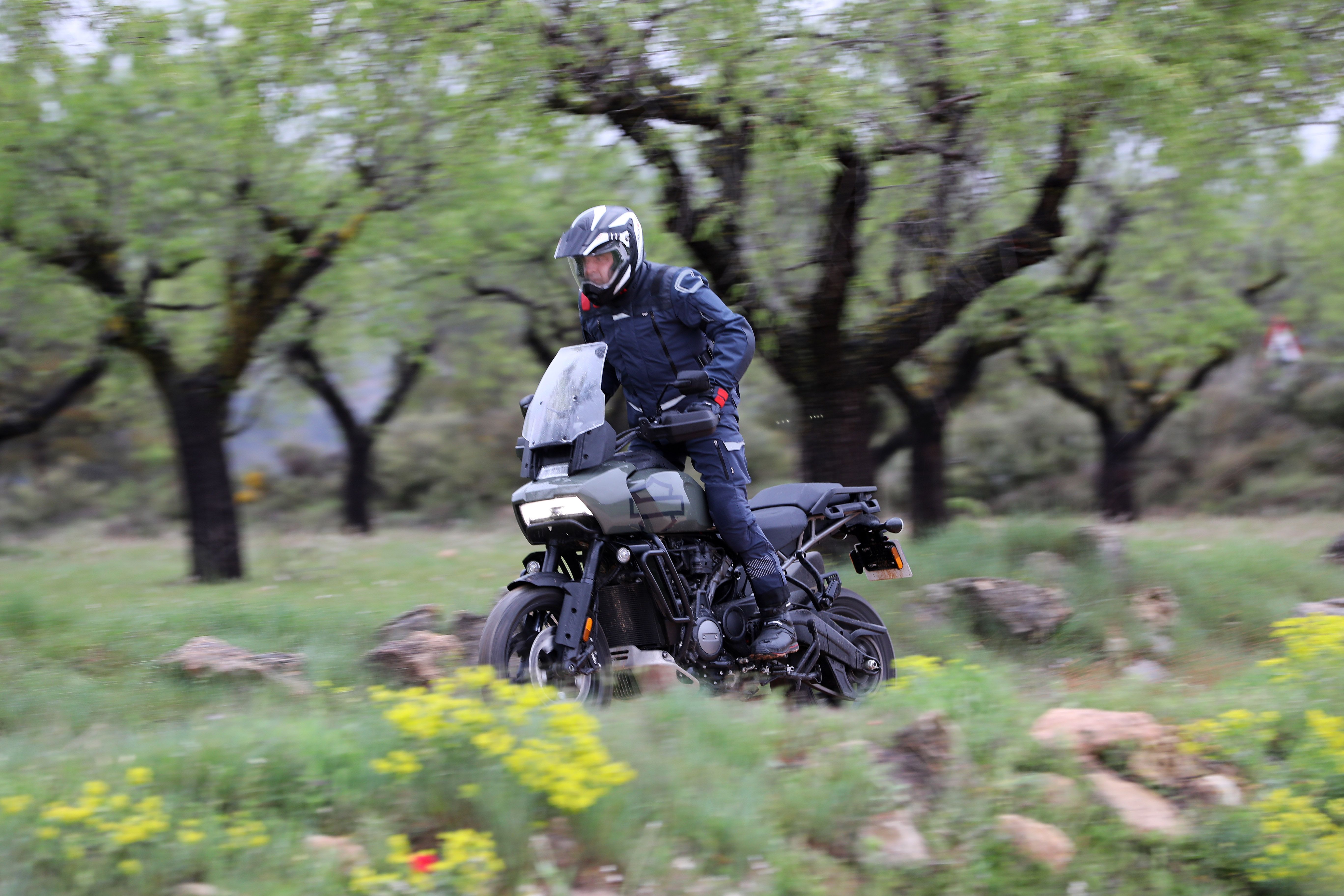 Harley Davidson Pan-America 1250.