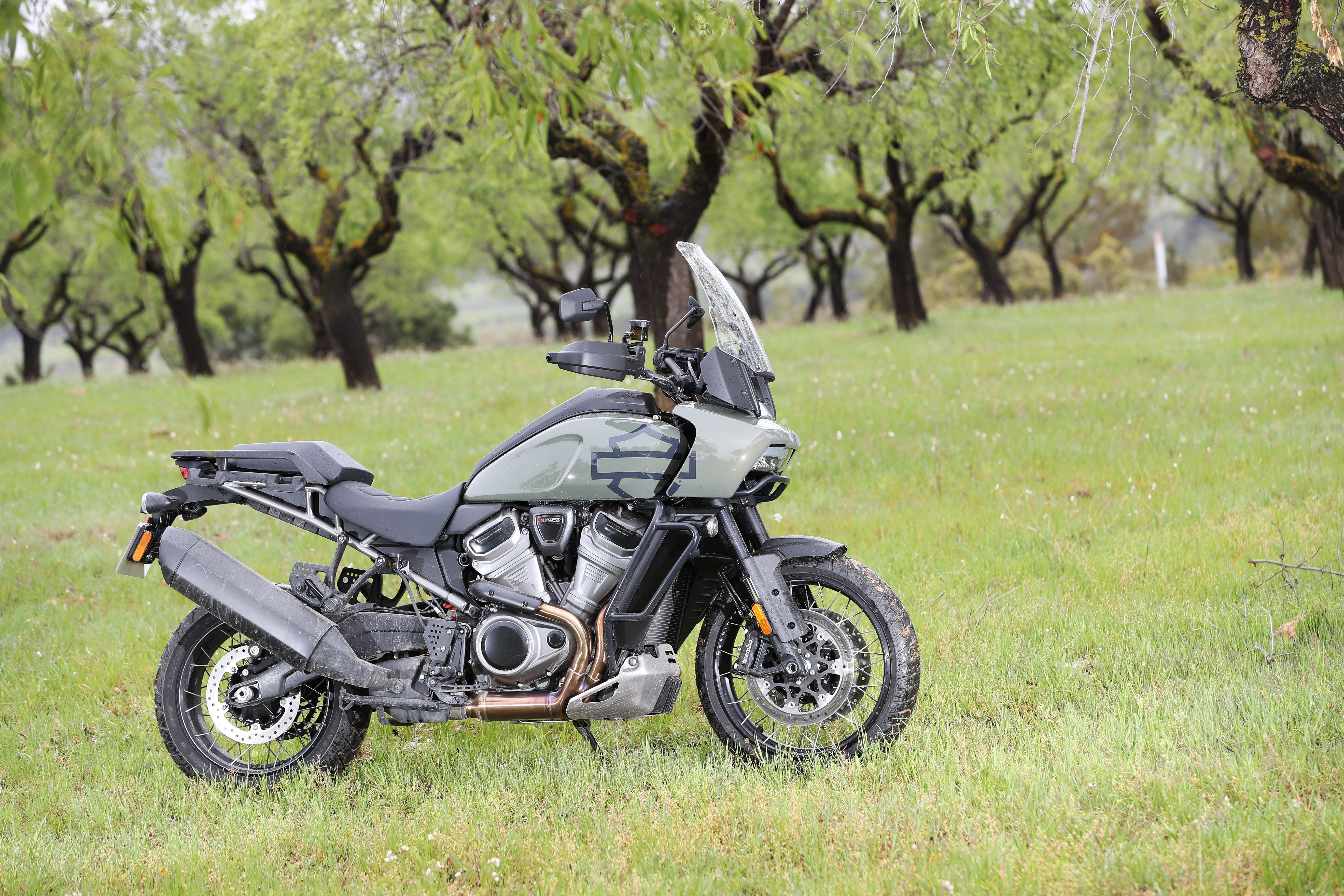 Harley Davidson Pan-America 1250.