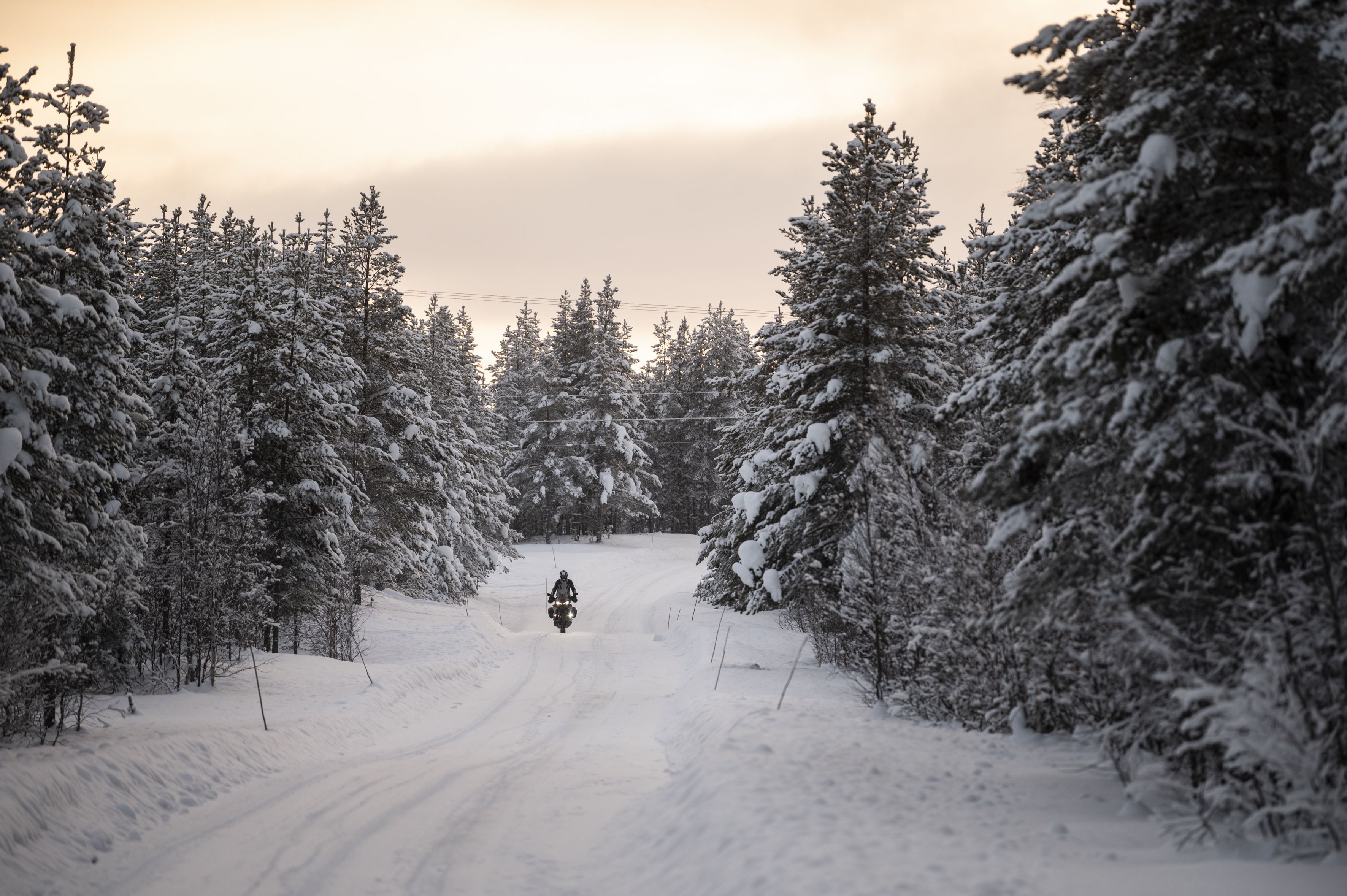 Day6 ¿ Skelleftea   Arjeplog 03