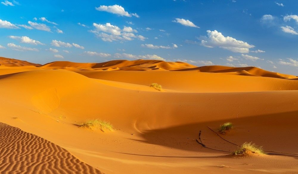 Erfoud es la ciudad que da paso al desierto. Fuente: iStock/Jedamus_Lichtbilder