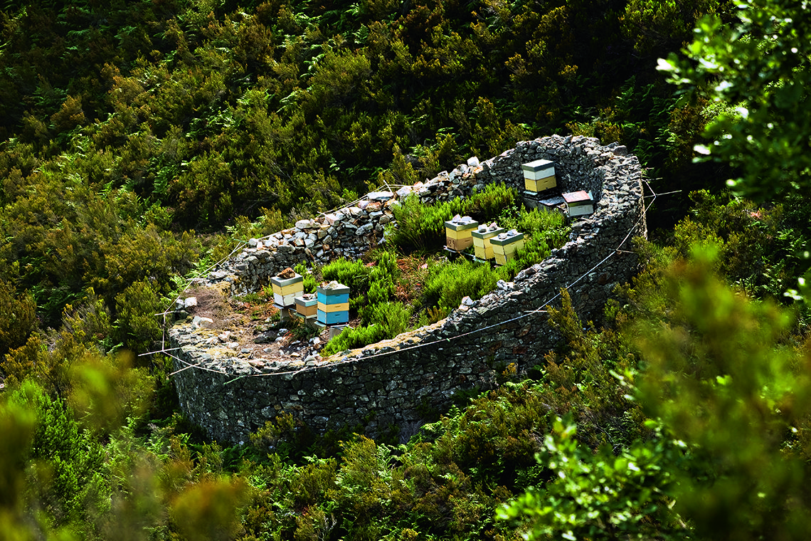 Asturias en moto.