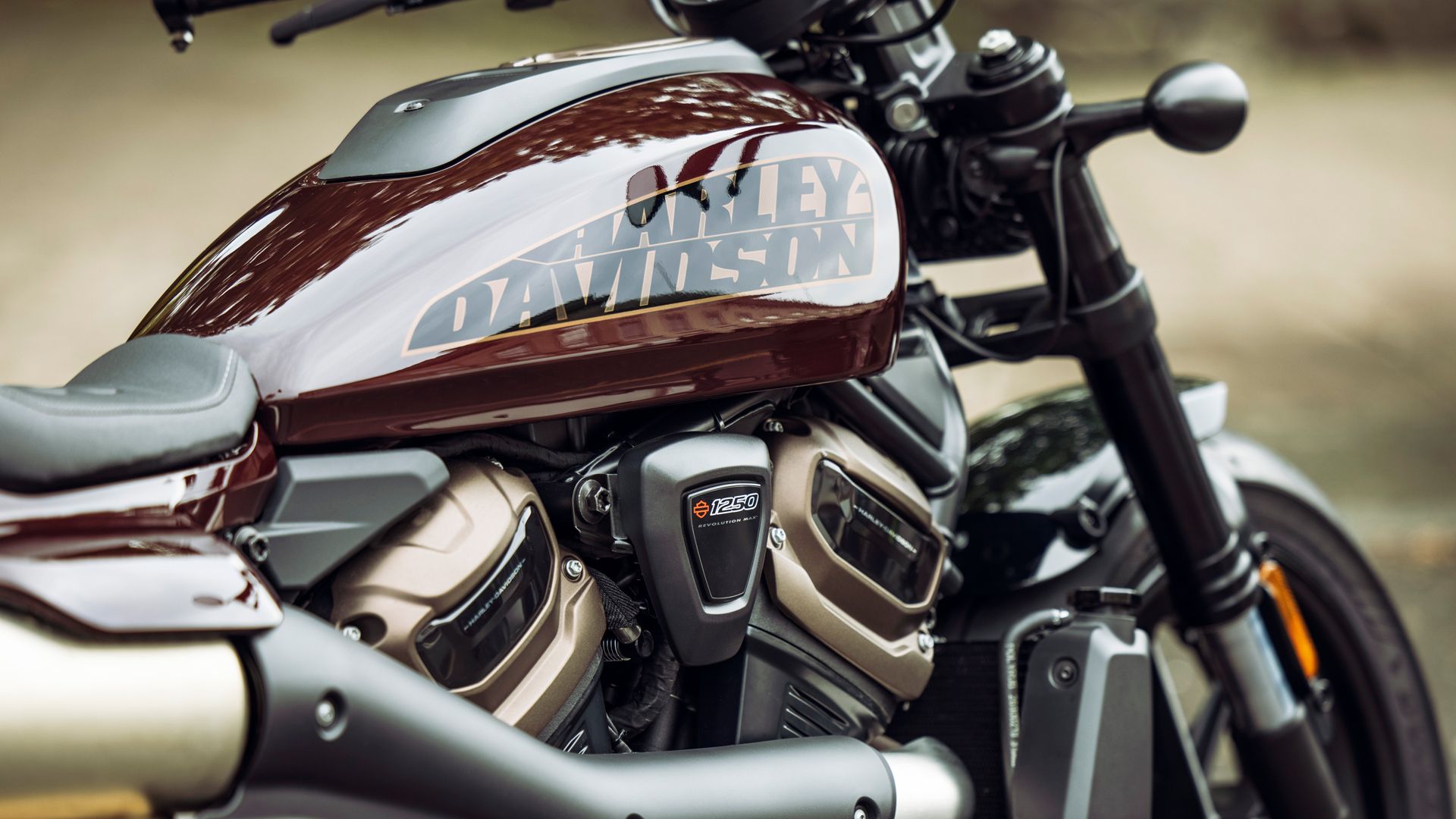 Harley Davidson Sportster S 2021 11