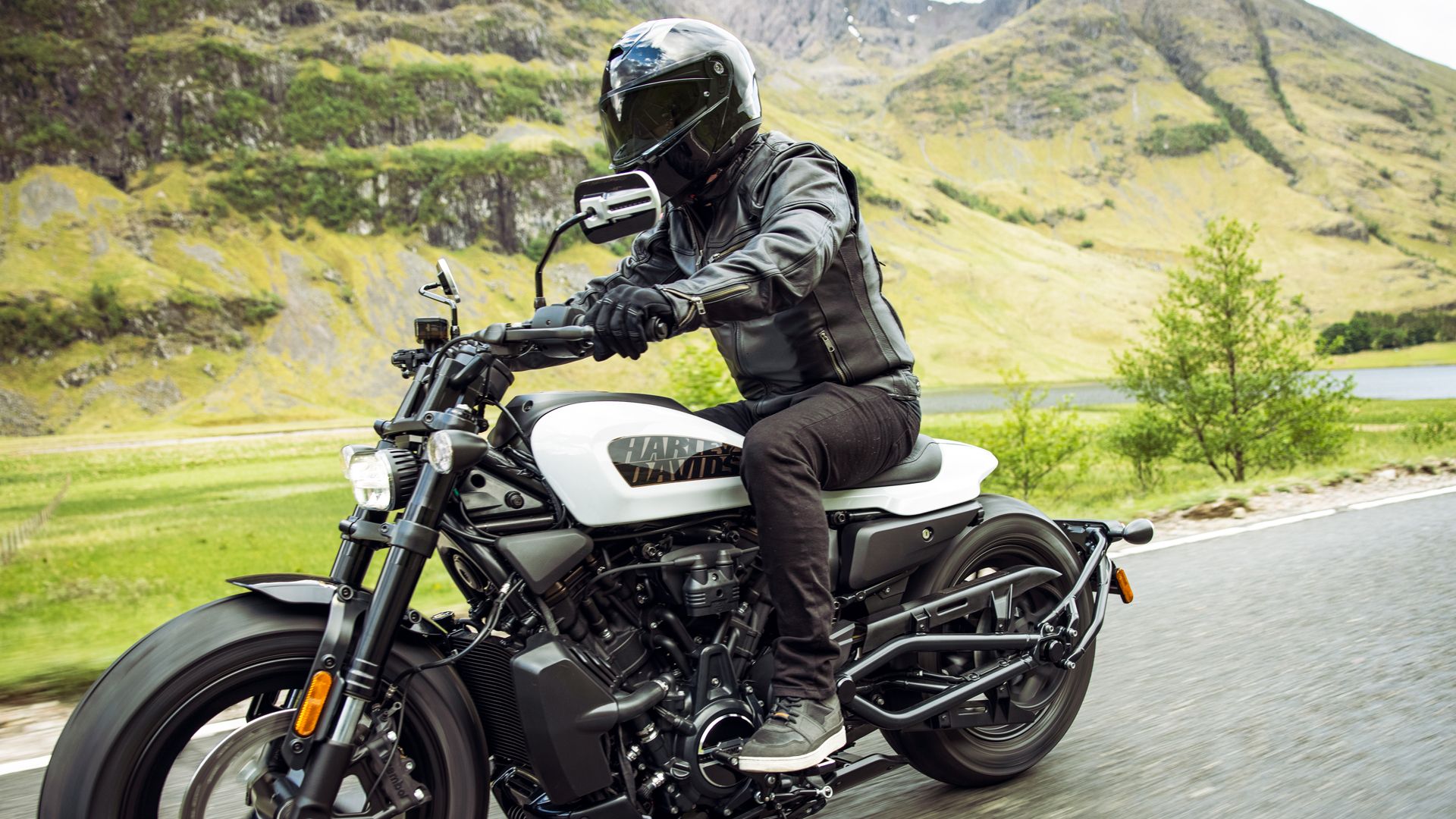Harley Davidson Sportster S 2021 18
