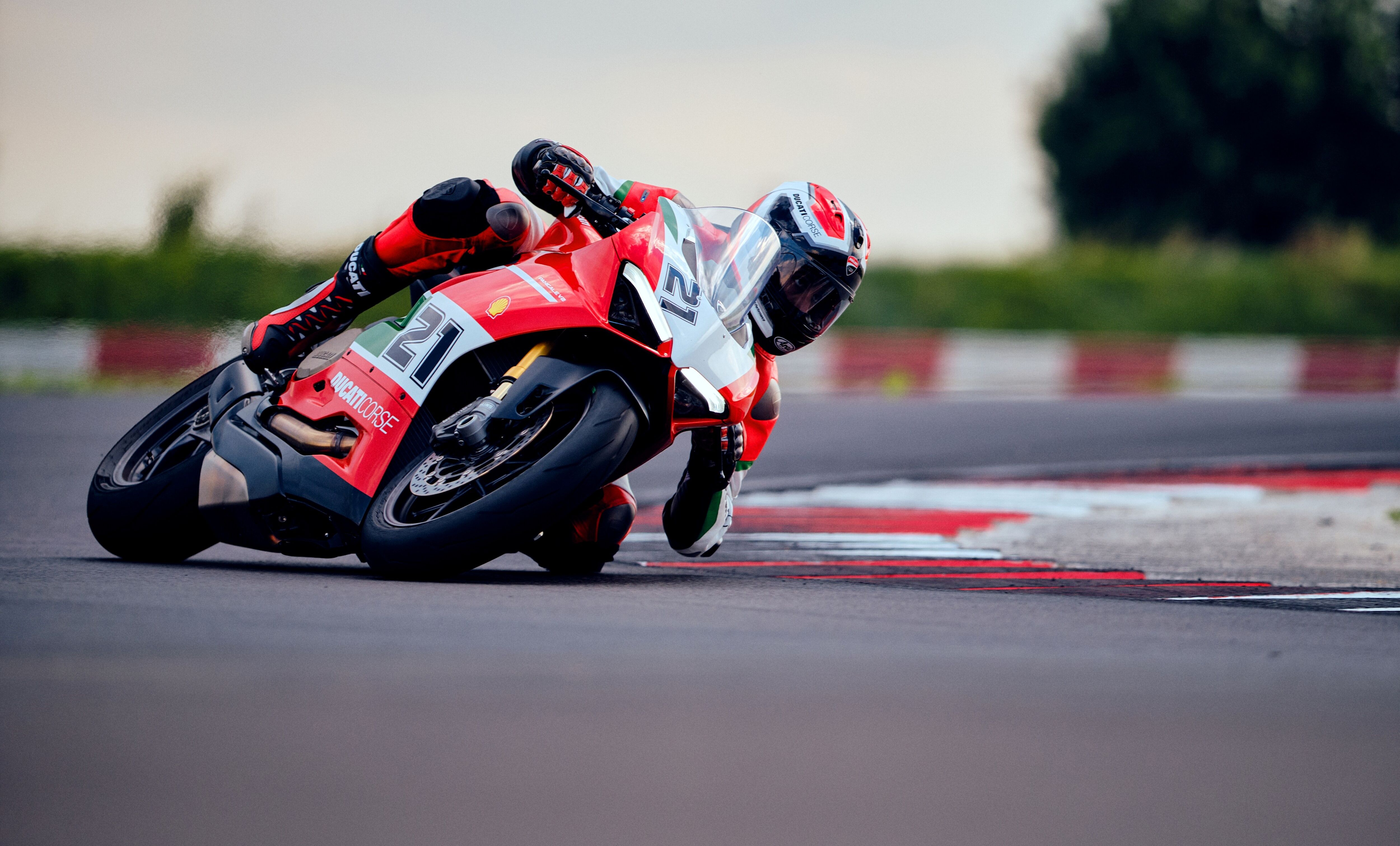 Ducati Panigale V2 Bayliss 1st Championship 20th Anniversary 13