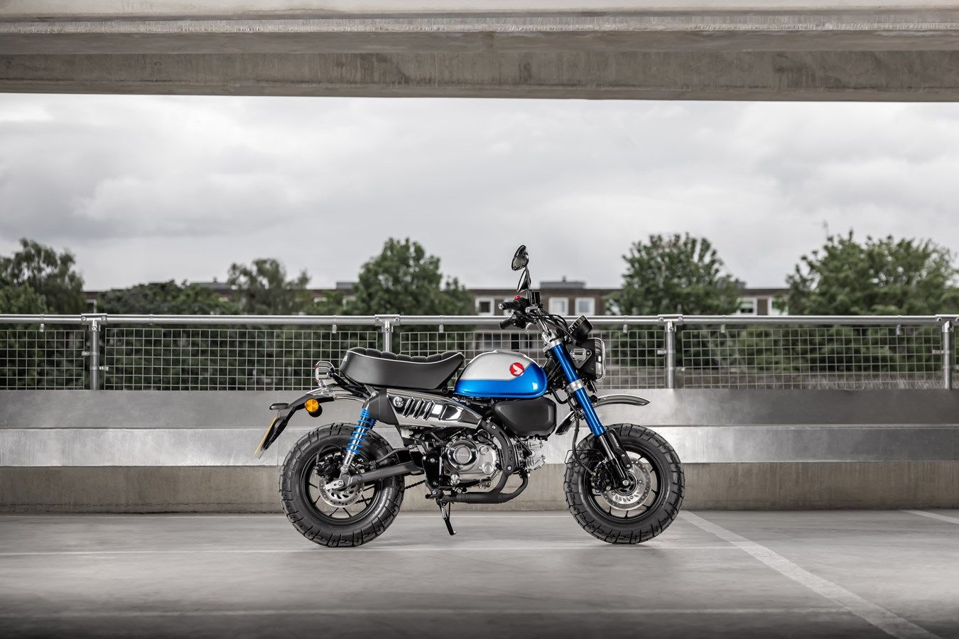 Honda Monkey 2022