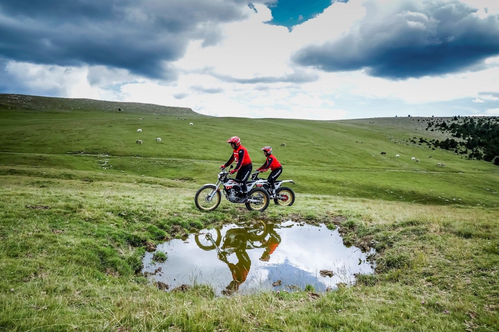 Montesa 4Ride 22YM 