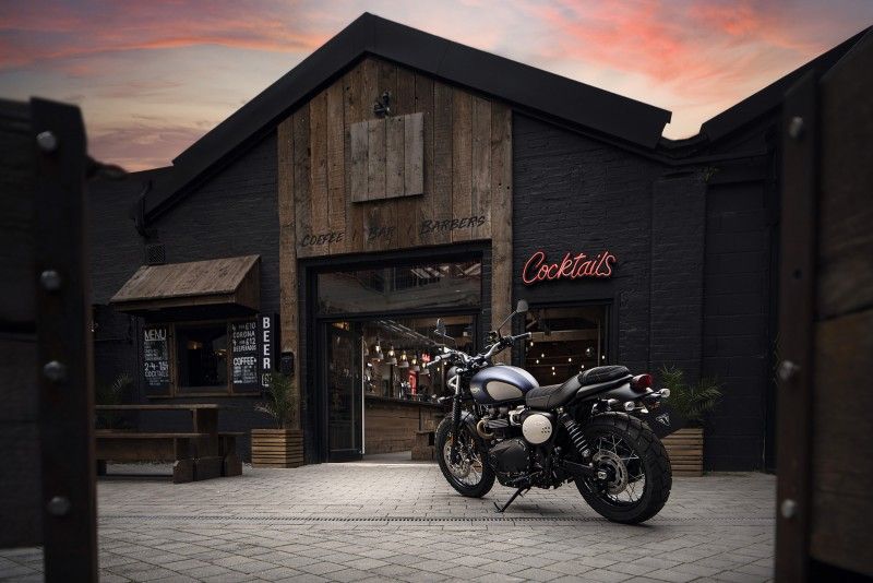 Triumph GoldLine 19