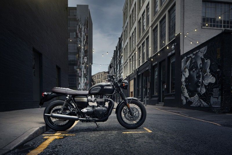 Triumph GoldLine 31