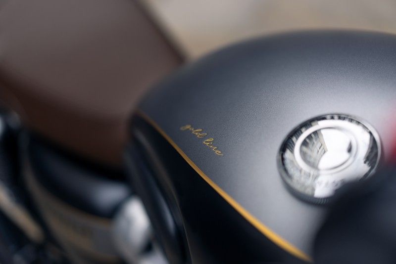 Triumph GoldLine 37
