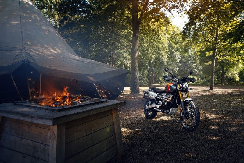 Triumph GoldLine 45