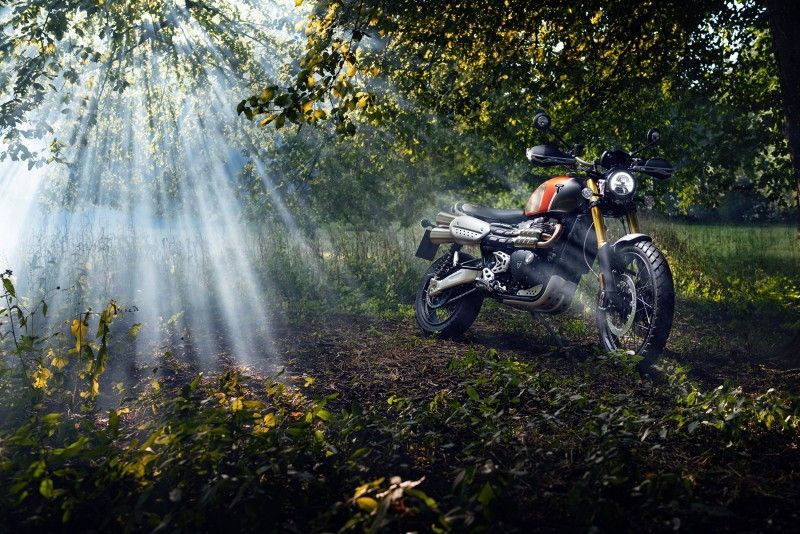 Triumph GoldLine 46