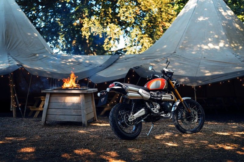 Triumph GoldLine 47