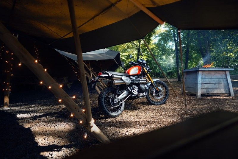 Triumph GoldLine 48