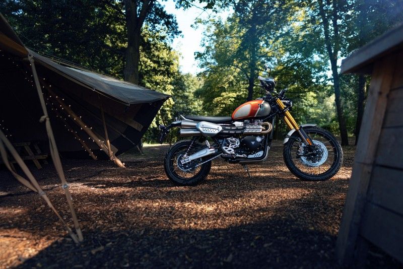 Triumph GoldLine 49
