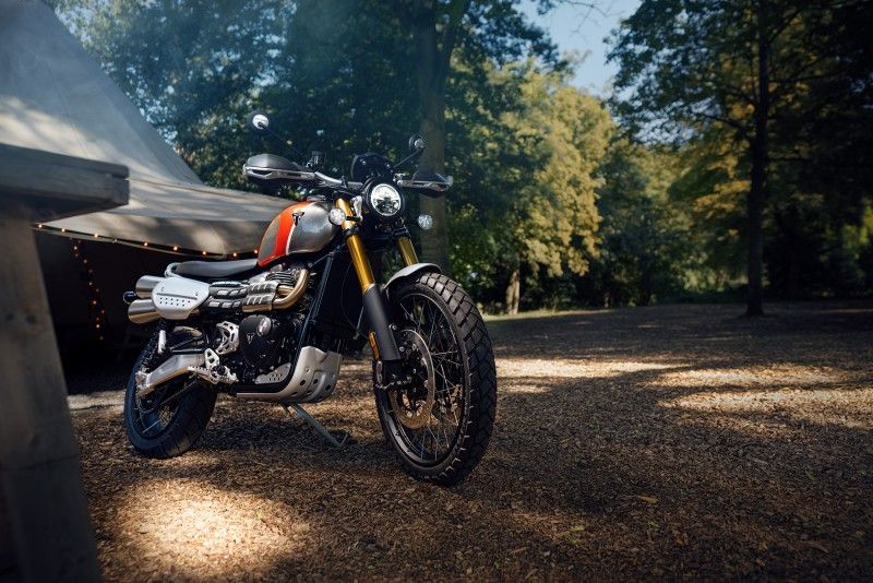 Triumph GoldLine 50