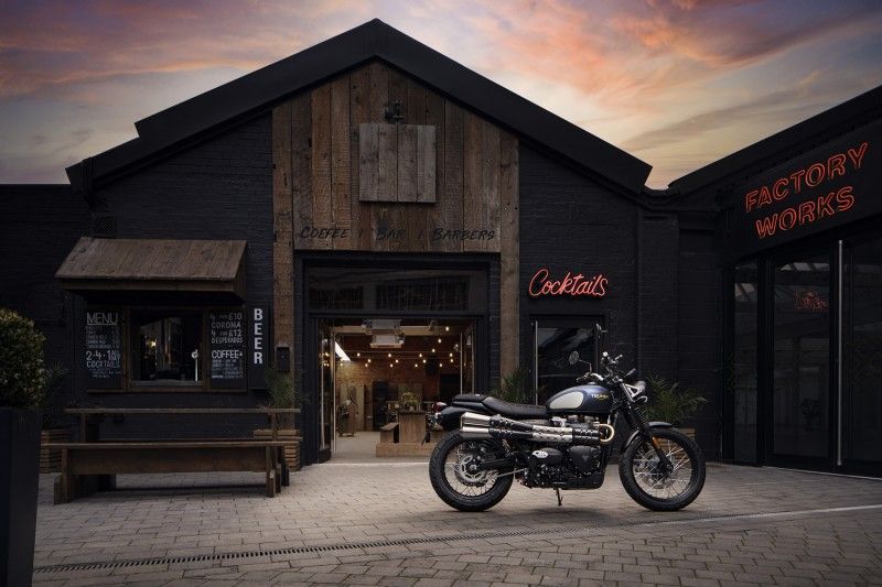 Triumph GoldLine 18