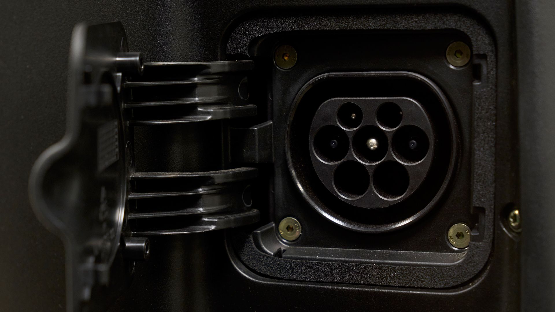 Ray 7 7 2021 Detalle (6)