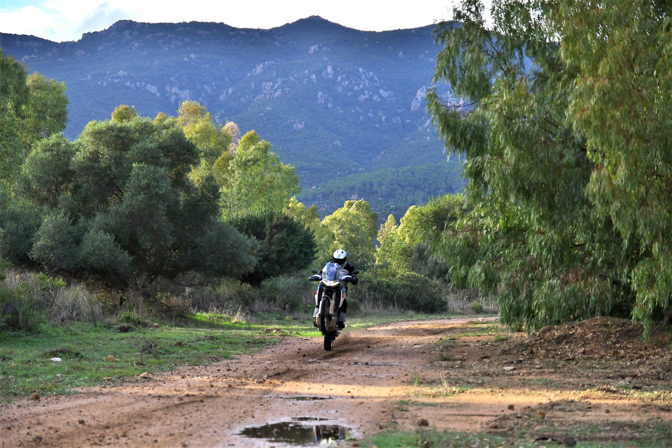 Aprilia Tuareg 660