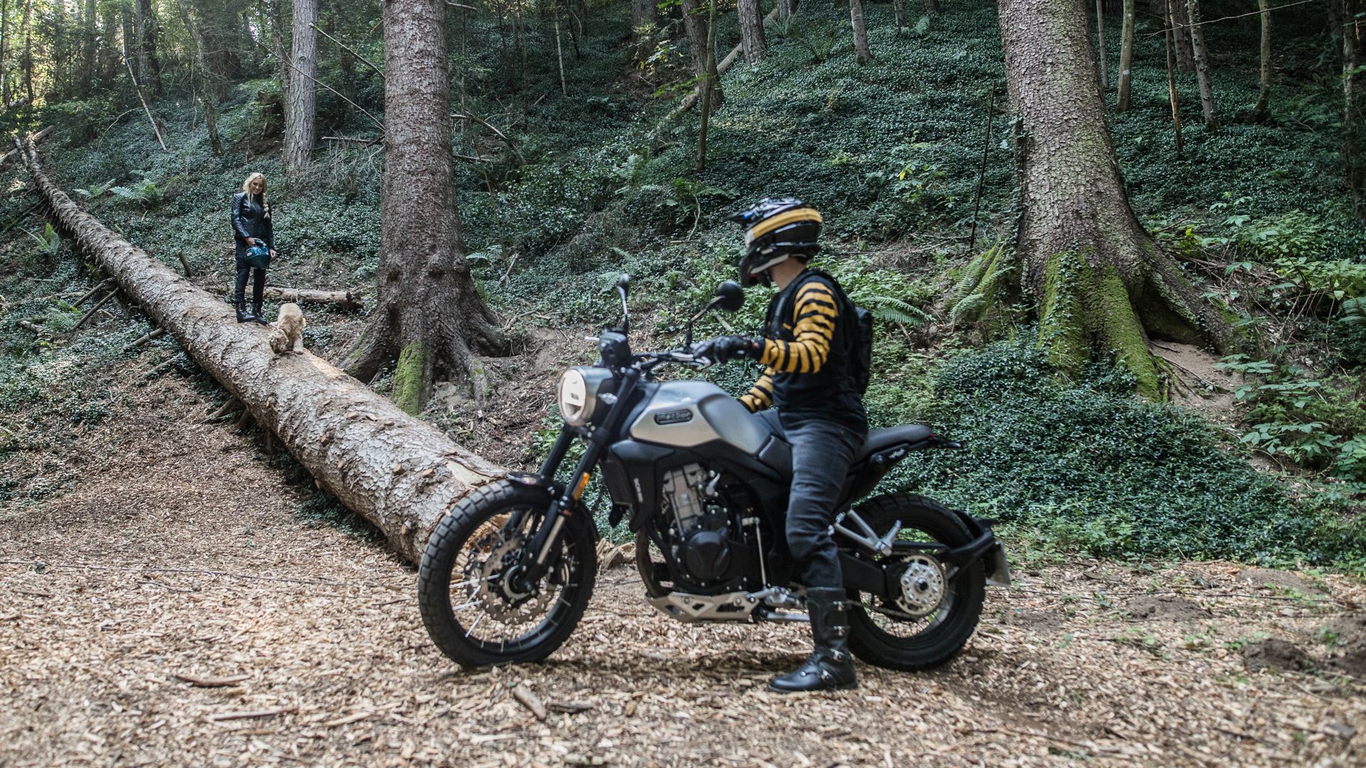 Macbor Eight Mile 500 Scrambler Accion (1)
