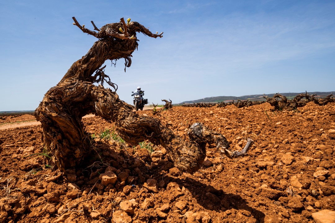 Ruta en moto por los viñedos manchegos con Ruralka