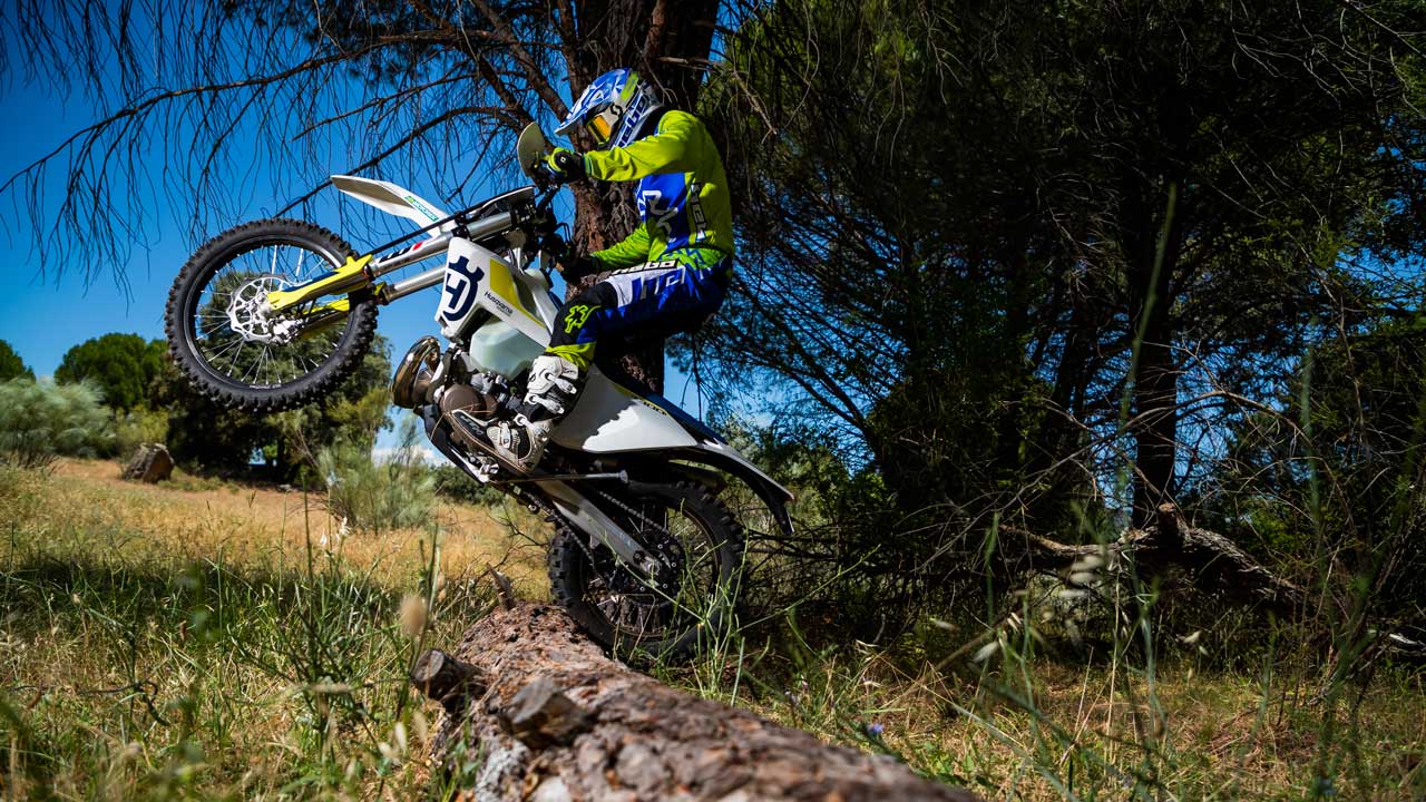 MOTO VERDE 481, contenidos y sumario de la revista